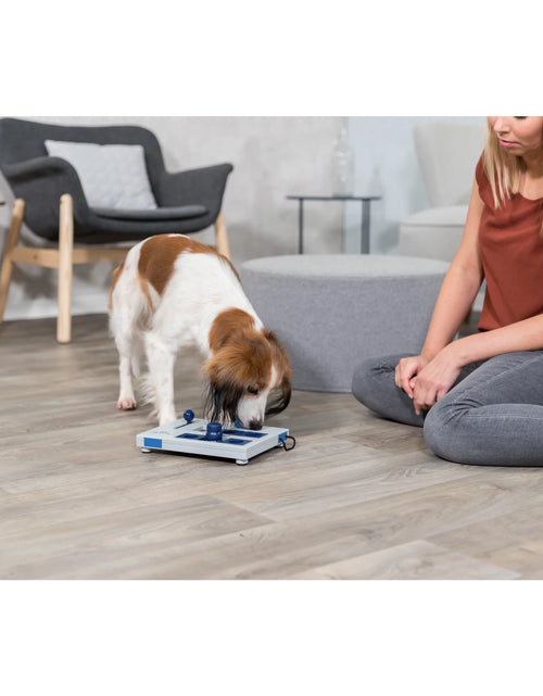 Load image into Gallery viewer, Dog Activity Mini Mover Strategy Game, Level 2 Dog Puzzle Toy, Treat Dispenser
