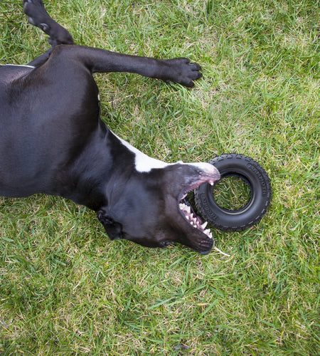 Tirebiter Advanced Rubber Dog Toy, Medium, 5"