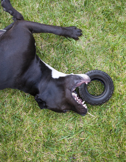 Load image into Gallery viewer, Tirebiter Advanced Rubber Dog Toy, Medium, 5"
